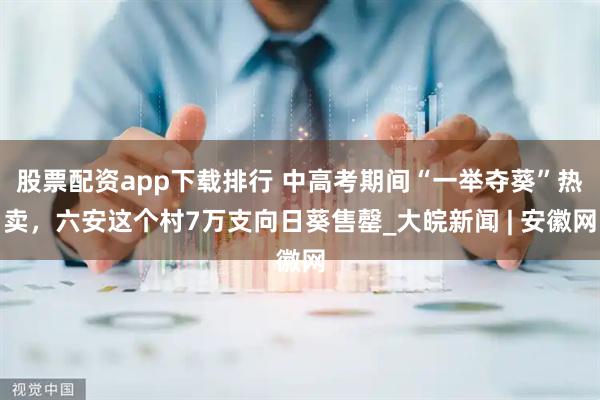 股票配资app下载排行 中高考期间“一举夺葵”热卖，六安这个村7万支向日葵售罄_大皖新闻 | 安徽网